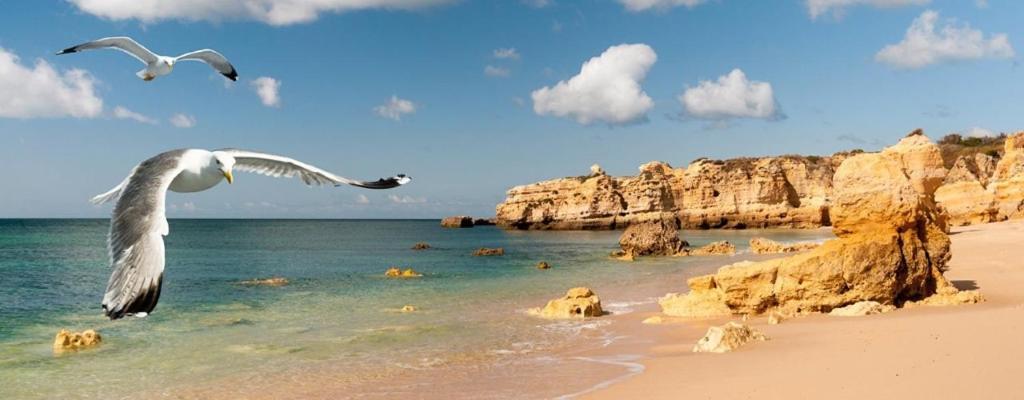 Espacoso Apt T2, Em Olhos Agua Albufeira Exterior photo
